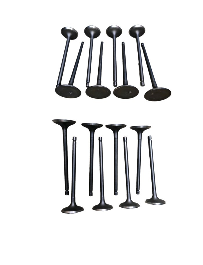 BAIC Freda M50S DAM15DL 8 intake valves and 8 exhaust valves M50-QM000