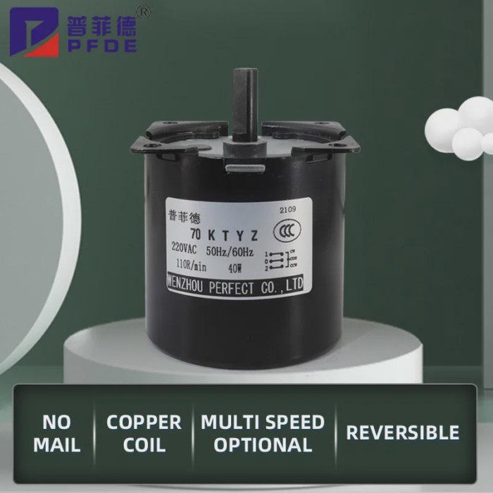 160KG 70KTYZ 40W AC220V AC Permanent Magnet Synchronous Motor CW/CCW Low Speed Motor 2.5/5/10/15/20