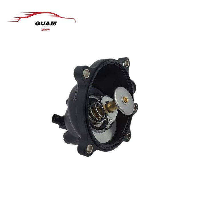 079121115AA 079121115BB cooling water thermostat for  Audi A4 B8 A5 RS5 A8 D4 4.2 Germany TM 44 95