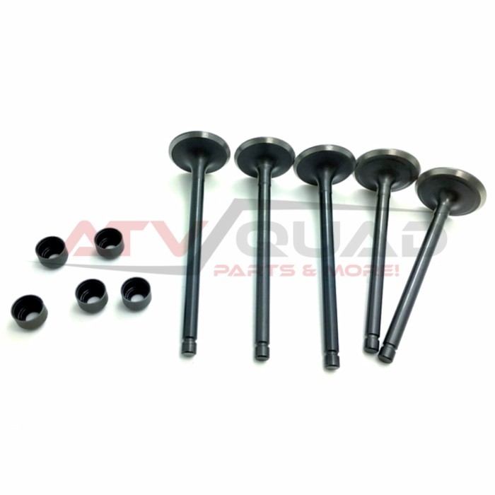Intake Exhaust Valve Seal Kit for Qlink FrontRunner 700 Menards Yardsport 700 14711-007-0000 14721-