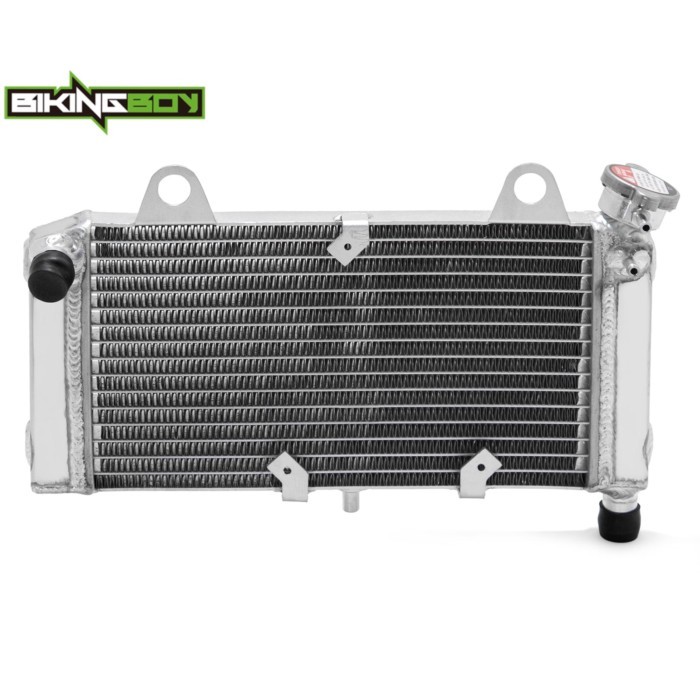 BIKINGBOY MT125 14-16 MT-125A ABS 14-21 YZF125R 08-16 YZF125R ABS 15-21 17 18 19 20 Engine Radiator