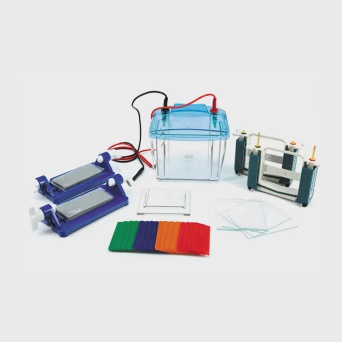 Protein Electrophoresis Cell P4 Vertica Protein Electrophoresis Tank DYCZ-25E For SDS-PAGE Experime