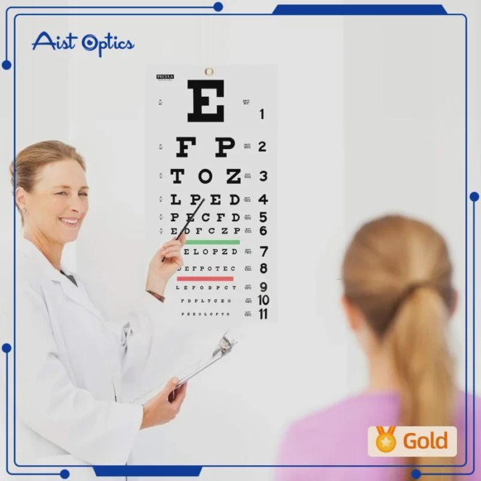 Snellen Eye Chart, Eye Charts for Eye Exams 20 Feet 22ￗ11 Inches, Low Vision Eye Test Charts for Ey