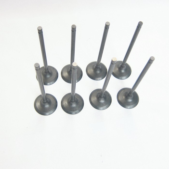 Car accessories engine cylinder inlet valve HD00-12-111M1 for Haima 3 2007-2012 479Q