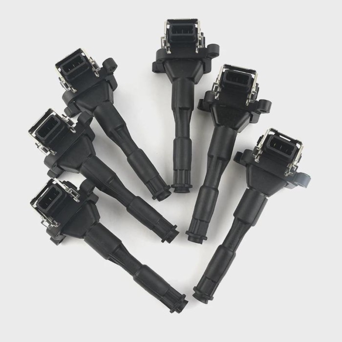 High Quality OEM 12131703227 12131748018 For BMW X5 Z8 E36 E46 E39 E38 Ignition Coil 0221504029 022