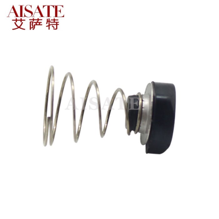 For Mercedes w220 W211 VW Tuareg E65 E66 A8 Q7 Suspension Compressor Spring Air Spring Cylinder Val