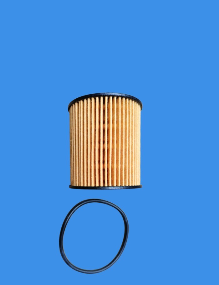 JAC Huntour D20TG engine 2.0T oil filter element 1010208GD190