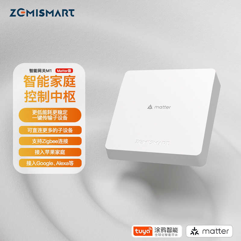 Graffiti Matter Protocol ZigBee/Thread Whole House Smart Wired Gateway homekit/Google