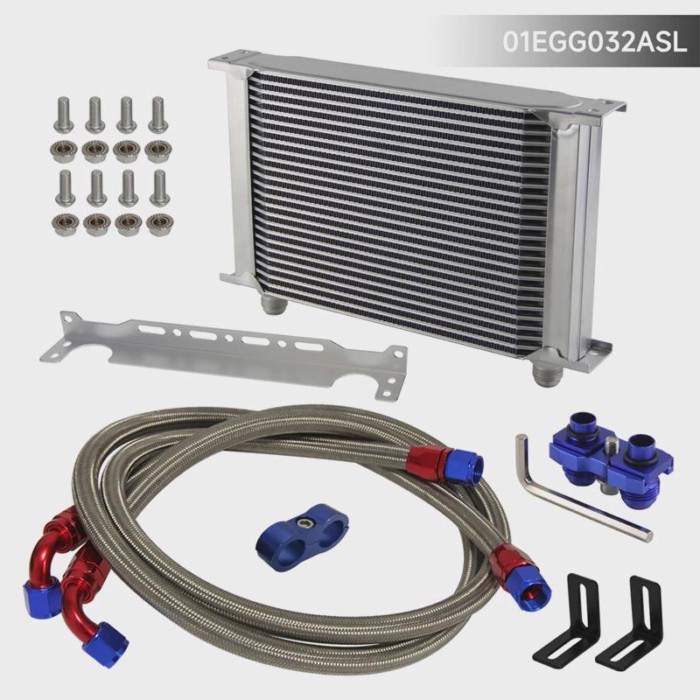 25 Row 248mm AN10 British Oil Cooler Kit w/ Brackets Fits For BMW E36 Euro E82 E9X 135/335 E46 M3 E