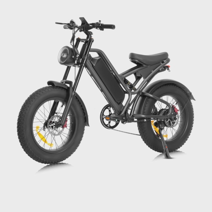 Mountain Bike Electric 48V Fat Tire E-bike Lithium Battery Hybrid