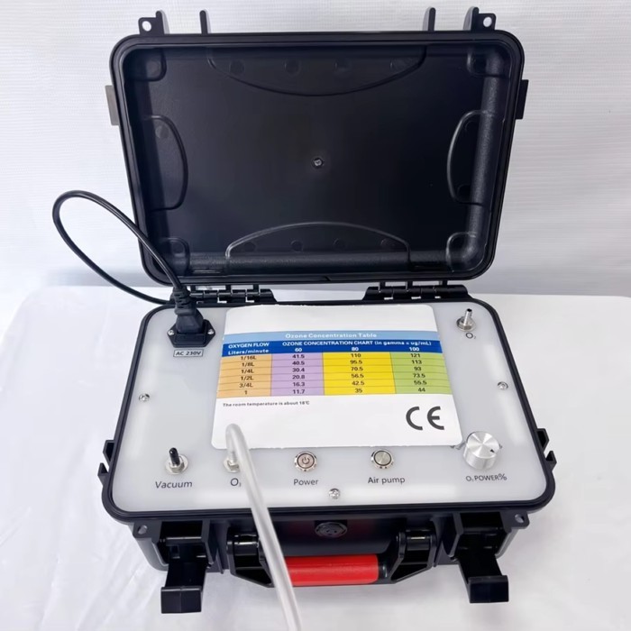 Hot Sale Professional Digital Ozone Concentration Chart Medical Ozone Equipment Commercial Air Puri