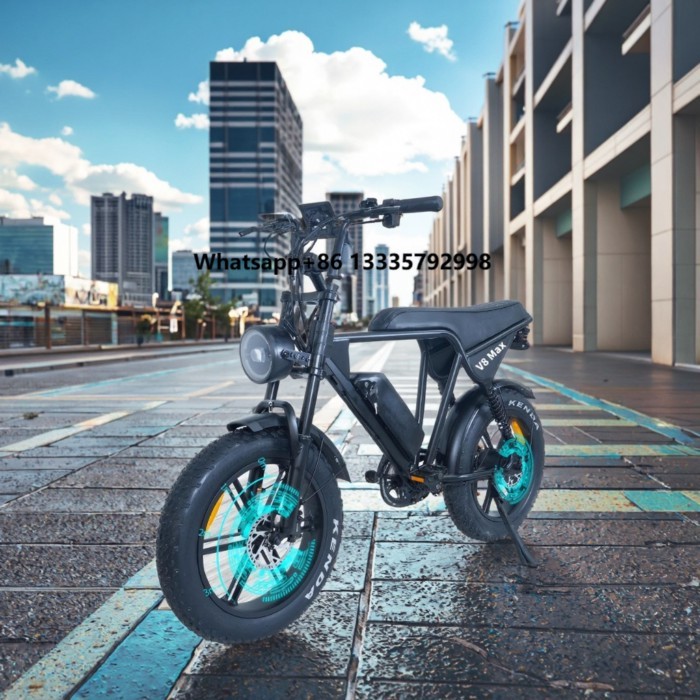 V8 Max 20*4.0 Inch Fat Tire Bike Mountain Snow Electric Bike Removable 48V15Ah Lithium Battery City