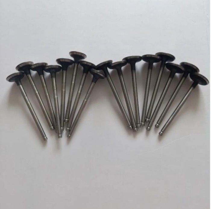 Engine Valve Intake Exhaust Valve for JAC T6 JAC Refine 2.0L HFC4GA3-3D Engine