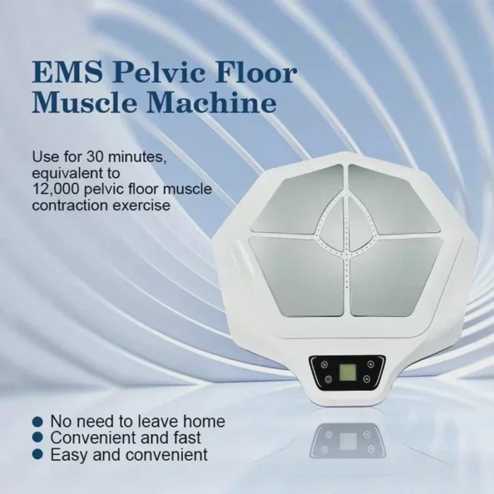 2025 Best Selling EMS Pelvic Floor Machine Non-Invasive Kegel Pelvic Floor Muscle Training Postpart