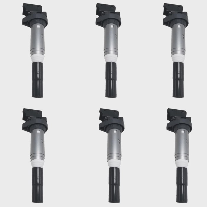 6 Ignition Coil for BMW 520i 523i 525i 530i 535i 540i 545i 550i 528i xDrive M5 5 Series E60 E61 E39