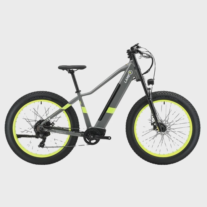 Electric Dirt Bike 750w 26inch Fat Tire E-Bike Cheap Electric Mountain Bike Electric City Bike vint