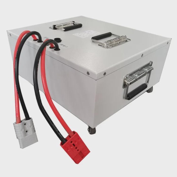 TZBOT 48v lithium ion battery for electric vehicle
