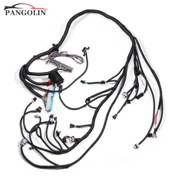 Standalone Wiring Harness w/4L60E for 1997-2006 GM LS LS1 Engine 4.8L 5.3L 6.0L