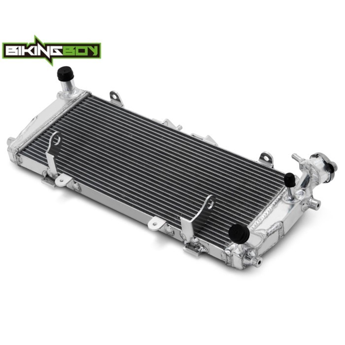 BIKINGBOY For BMW R1200R 14 15 17 18 R1200RS 2015-2018 R1250R R1250RS 18 19 20 21 22 23 24 Engine R