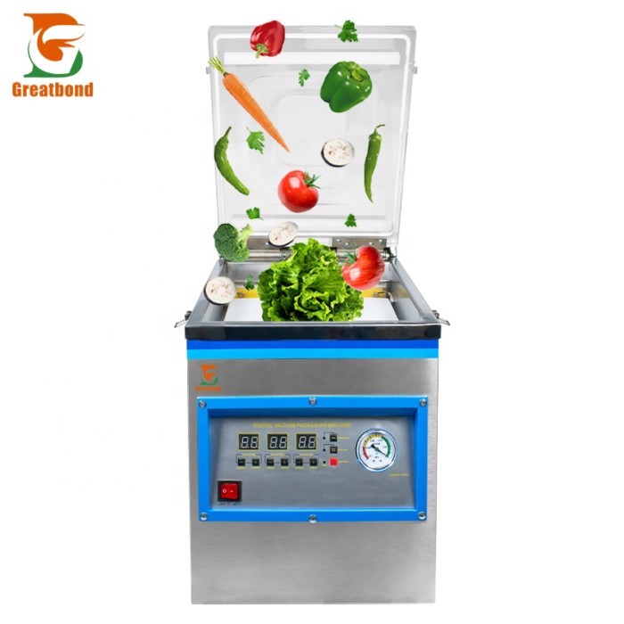 DZ260 Factory Price Commercial Small Food Meat Fish Shop Use Household Desktop Single Chamber Verti