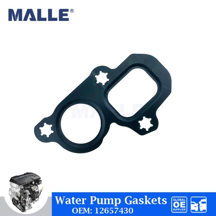 1 Pcs Engine Water Pump Gasket For 2014-2024 Chevrolet GMC Cadillac GM 5.3 6.2 L83 L86 LT1 LT4 Auto