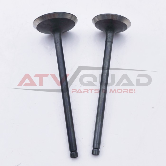 Inlet Exhaust Valve for Stels Guepard 650 800 850 Rosomaha Viking Ermak 800 LU072381 LU072382 14711