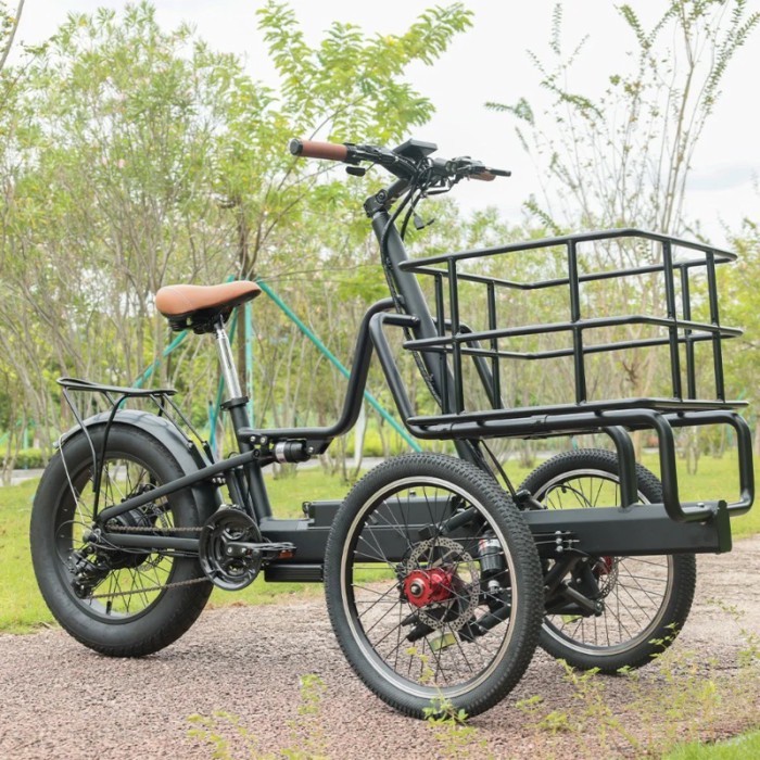Offroad Electric Tricycle E-bike 3 Wheel Electric Long Range Electric Front Cargo Bike 250W/350W/50