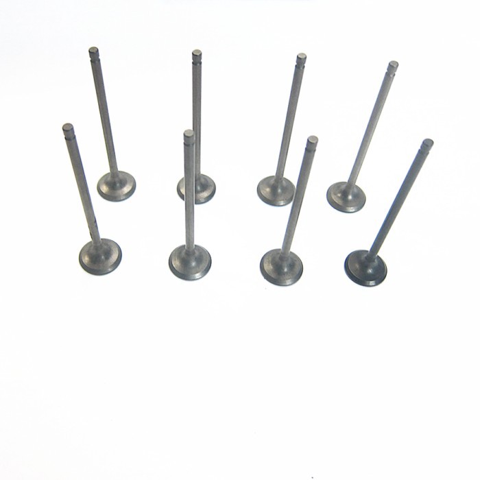 Car accessories engine cylinder exhaust valve HD00-12-121M1 for Haima 3 2007-2012 479Q