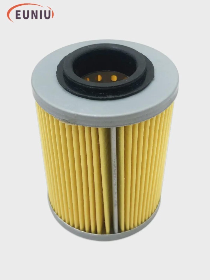 Odes Liangzi LZ 800 Oil Filter 21040111601