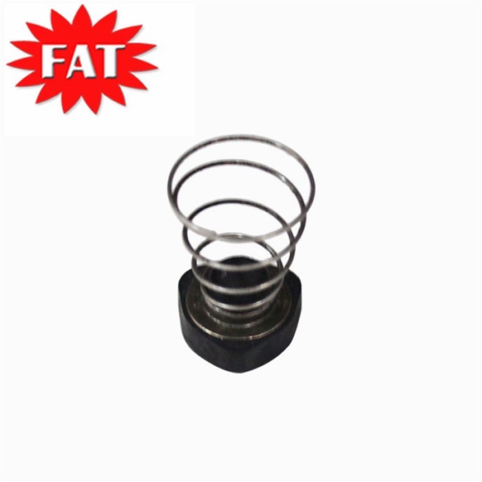 Air Suspension Compressor Spring For Audi Q7 A6 C5 C6 C7 A8 For Mercedes W211 W220 For BMW E65 E66
