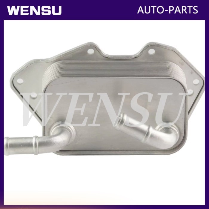 06E117021G 06E 117 021 G 06E117021L Engine Transmission Oil Cooler for AUDI A4 A5 A6 A7 A8 Q5 Q7 VW
