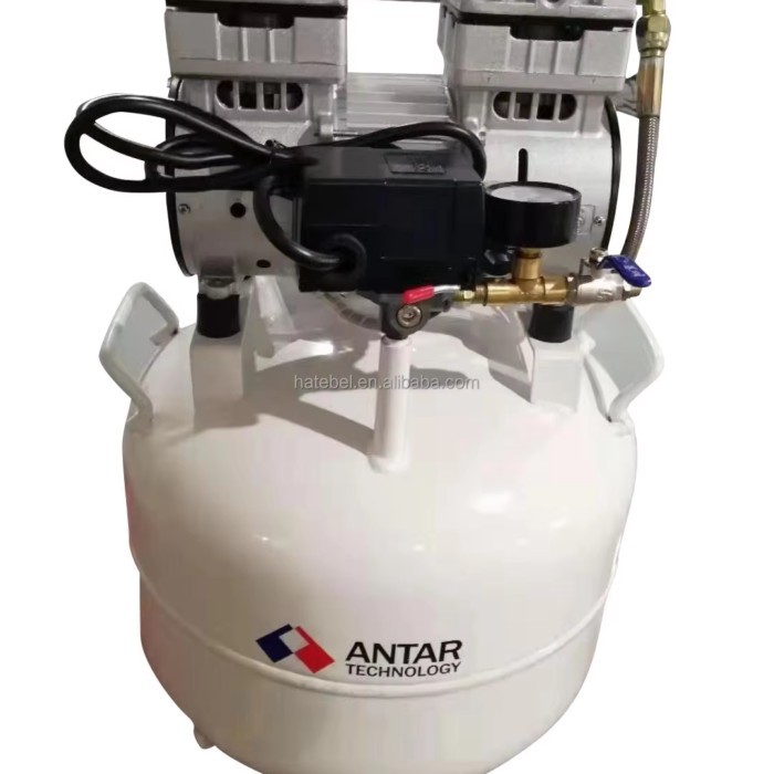 Portable Dental Clinic Equipment Dental Compressor Quiet Oil Free Air Compressor for 2 Dental Chair