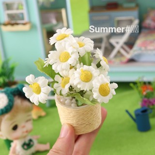 โมเดลกระถางต้นไม้ อาหารจิ๋ว 6 จุด diy สําหรับตกแต่งบ้านตุ๊กตา