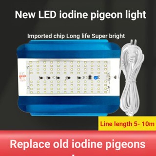 โคมไฟทังสเตน LED 50w 100w 200w กันน้ํา สําหรับก่อสร้าง