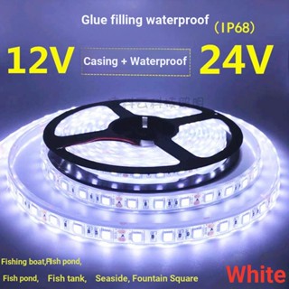 Z Lingxing แถบไฟ LED 12V 24V5050 กันน้ํา สีขาว สําหรับสระว่ายน้ํา เรือตกปลา