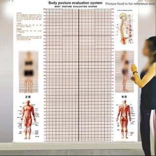 [แผ่นประเมินท่าทาง] แผ่นสติกเกอร์ติดผนัง วัดส่วนสูง วัดท่าทาง โยคะ ห้องโถง ส่วนตัว การศึกษา ท่าทาง การประเมินท่าทาง แผนภูมิการวางตําแหน่ง ร่างกาย ชาร์ตไขมัน น้ําหนัก Lo