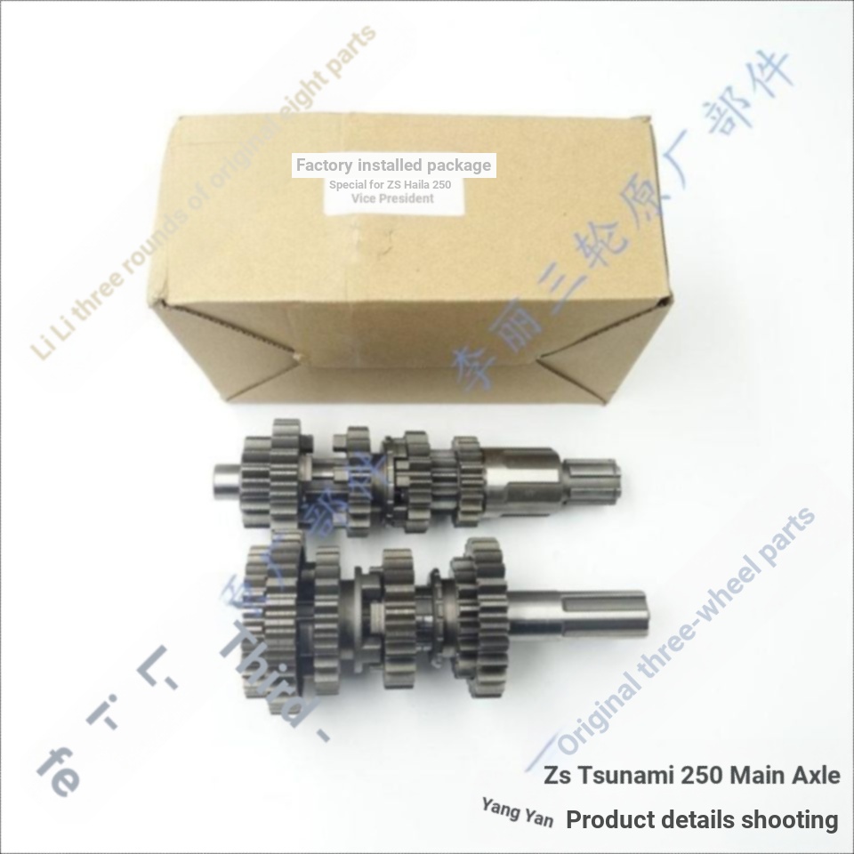 Zongshen Tsuna เฟืองเกียร์เครื่องยนต์ แกนหลัก 250 Fukuda Rewa 250