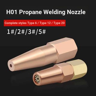 หัวเชื่อมปลายแก๊สโพรเพน หัวเชื่อมแก๊ส ประเภทท็อกซ์ h01-2 6 12 20 Acetylene Propane