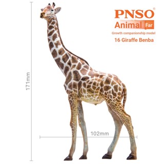 โมเดลสัตว์ PNSO Giraffe Benba 16 Zoo ของเล่นสําหรับเด็ก