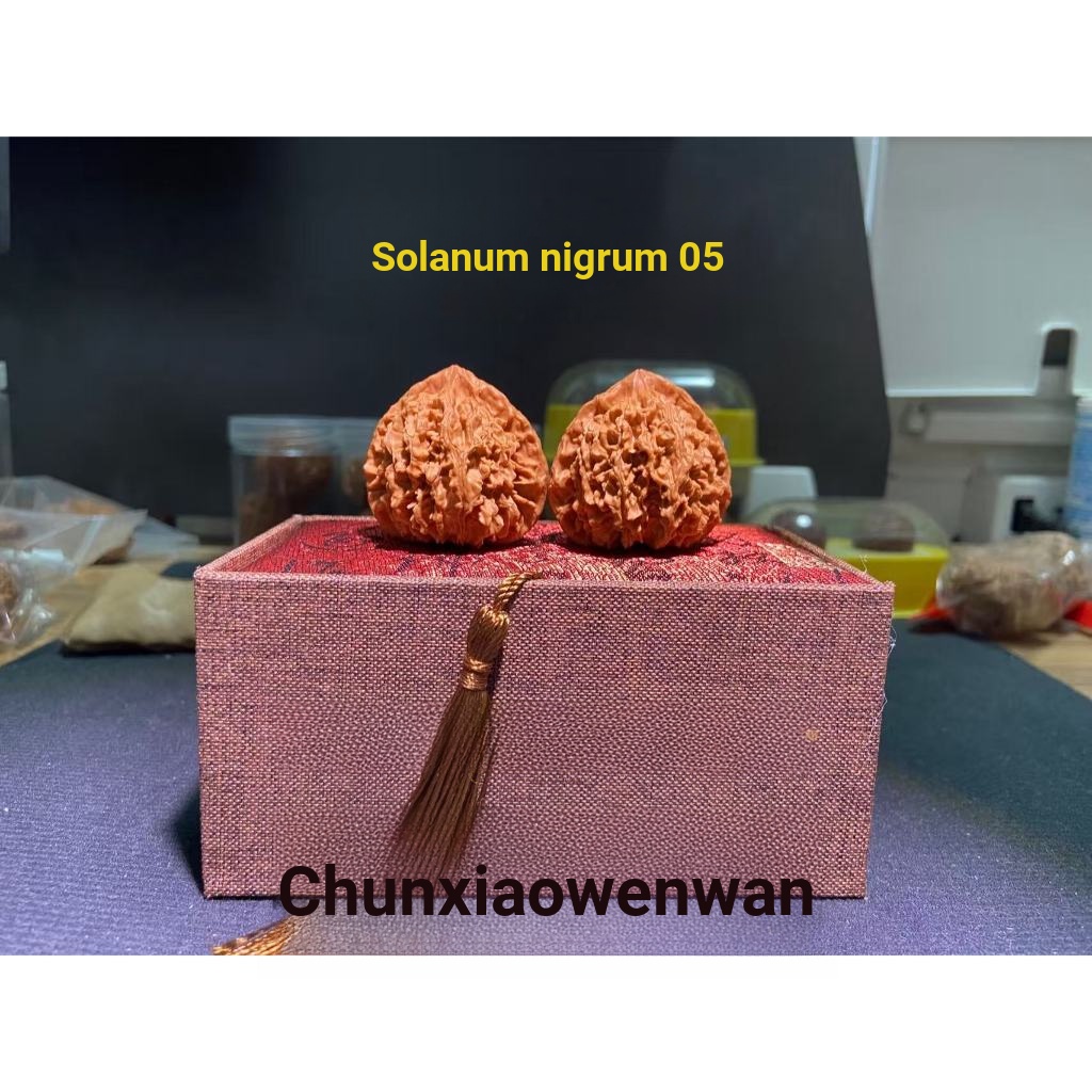 [Dragon Kwai-05] All-Pin Dragon Kwai Hemp Walnuts Premium Wenwan Walnuts, Niche Wenwan Walnuts, Deep