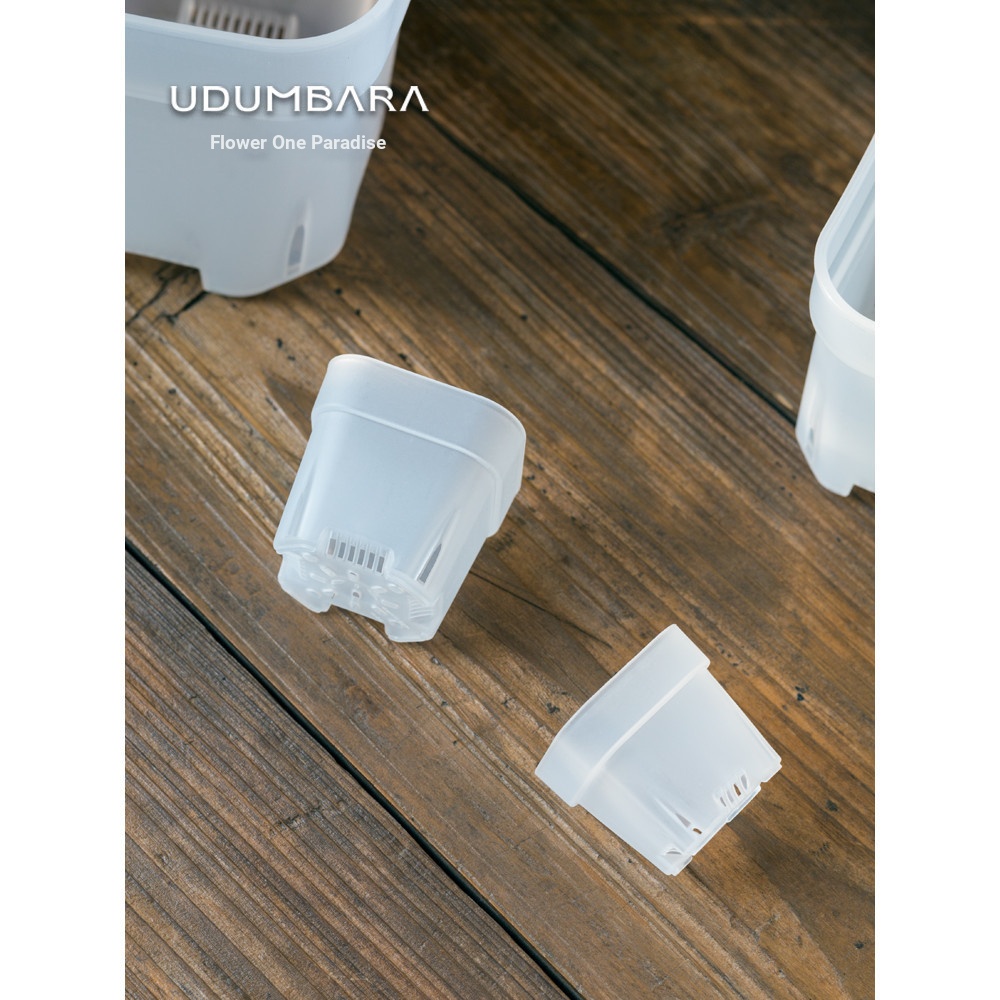 Tyk b.Low ราคา Spike ดอกไม้ One Paradise หนาพิเศษโปร่งใส Succulent พลาสติก Low Square กระถางดอกไม้ M