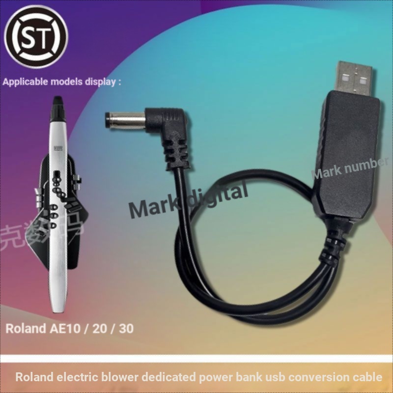 MOM Roland AE20 เครื่องเป่าผม Plug-In Power Bank สายแปลง Universal Roland หลอด AE10/30 Booster Cable