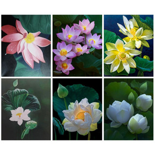 Ruopoty กรอบรูปอะคริลิค รูปดอกบัว บนผ้าใบ ขนาด 60x75 ซม. 50x65 ซม. 40x50 ซม. สําหรับตกแต่งบ้าน ห้องนั่งเล่น DIY