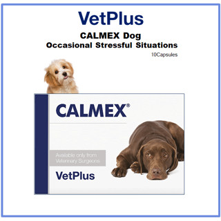 [VetPlus] Calmex สุนัข 10 แคปซูล