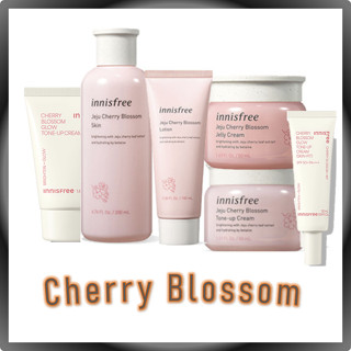 innisfree Jeju Cherry Blossom Set(Lotion, Skin, Jelly Cream, Tone Up Cream)