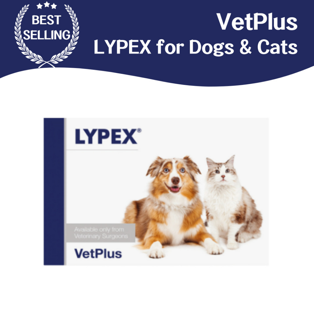 Vetplus LYPEX สําหรับสุนัขและแมว (60 แคปซูล) - แคปซูลเอนไซม์แพนเครทติก - อาหารเสริมแพนเครทที่มีประสิ