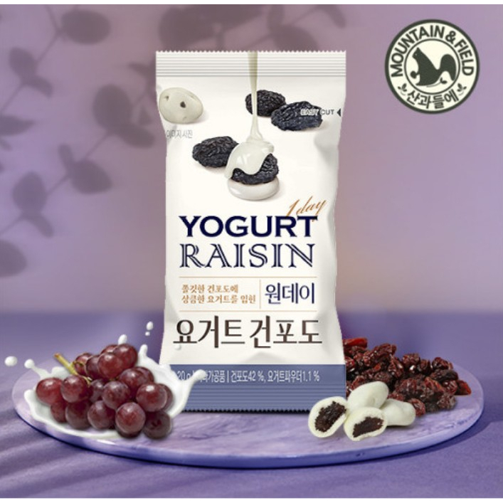 Korean Sweet and Sour Yogurt Raisin Ball Snack 20g * 25 bags / ส่งจากเกาหลี✈️🇰🇷