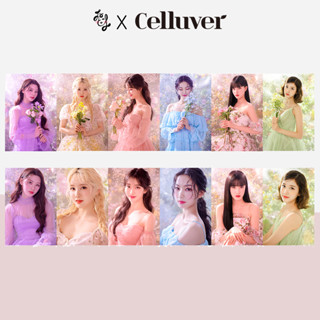 Celluver STAYC Photo Card Season 1 1pcs (RANDOM)