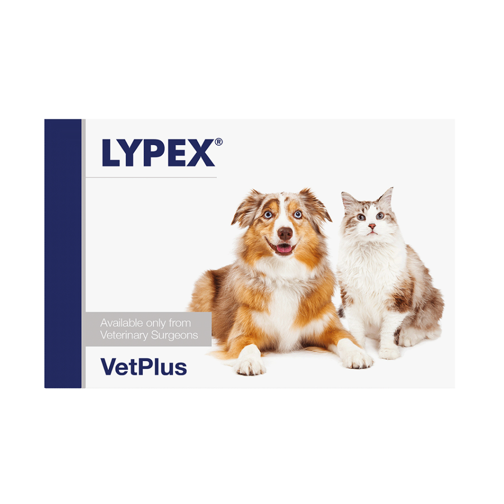 [VetPlus] LYPEX for Dogs & Cats(60 Capsules) / แคปซูลเอนไซม์ตับอ่อน / ผลิตภัณฑ์เสริมอาหารตับอ่อน