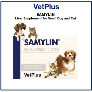 [VetPlus] Samylin อาหารเสริมตับ สําหรับสุนัขและแมว ขนาดเล็ก 30 แคปซูล